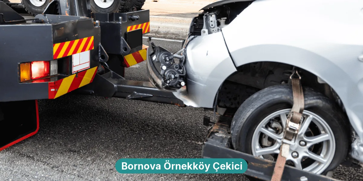 Bornova Örnekköy Çekici